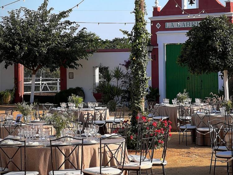 Bodas 1 Bodas 1